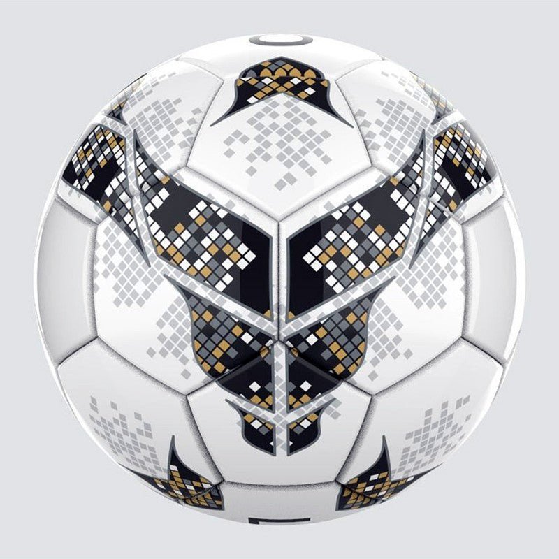 Professional Match Ball - 2 - LIONEL SPORTS