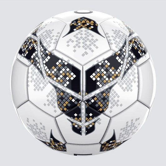 Professional Match Ball - 2 - LIONEL SPORTS